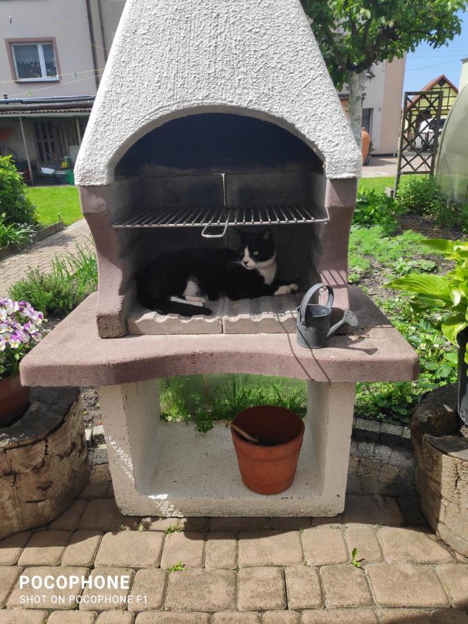 Pokoje Goscinne Moli Leba Exterior foto